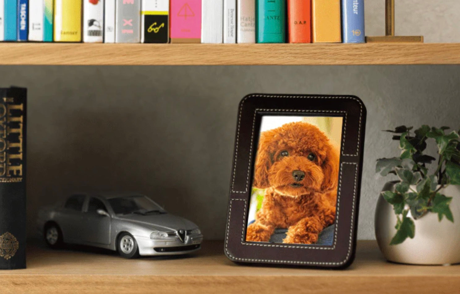 sr_1.jpg?v=1690352346