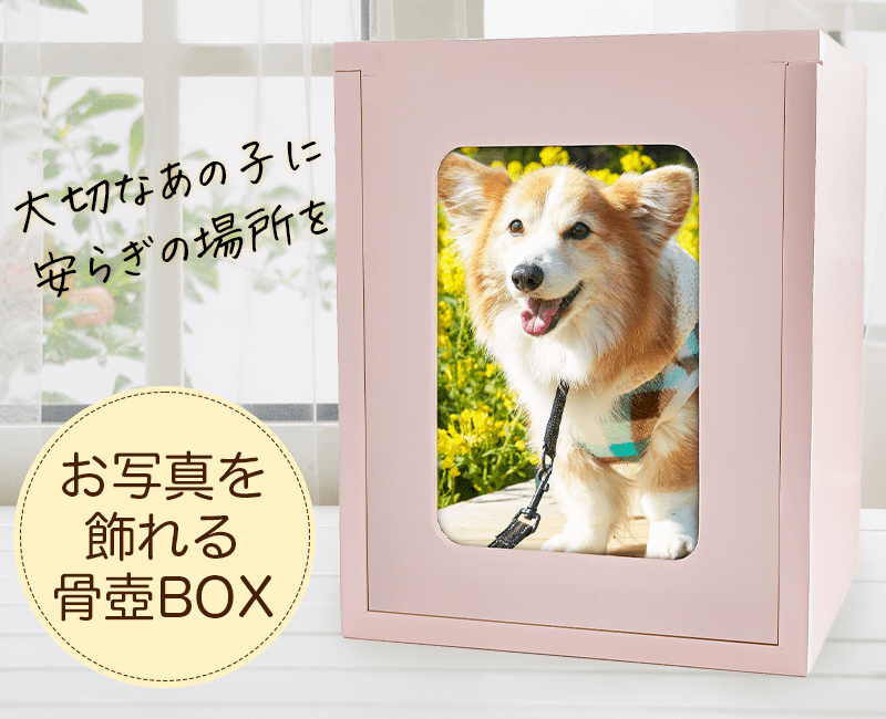 ペットメモリアルBOX　ペットの仏壇 ペット用仏壇 メモリアルBOX – Pet Momento