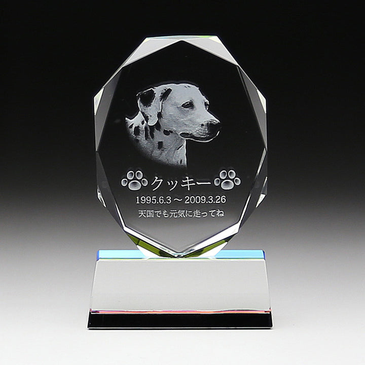 KP-2-2_6db94456-e7db-4d97-a6c7