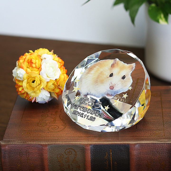 オーダー受付パネル6犬種1024/21