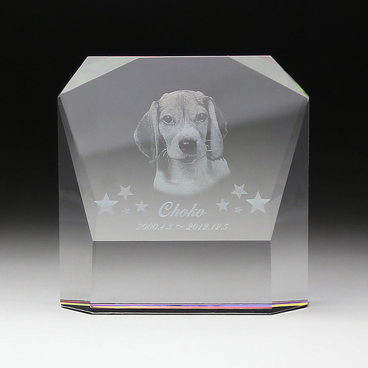 KP-3-2_b226c009-39ba-4042-bb87