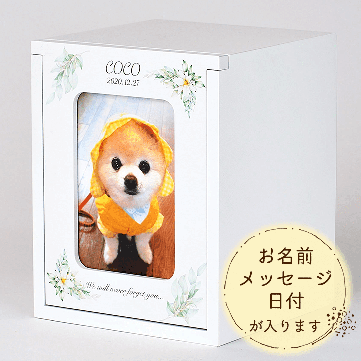 ムー様専用確認ページ☆犬のふわもこワンピース☆ハンドメイド☆着脱が