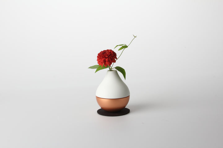 Potterin - ポタリン – Pet Momento