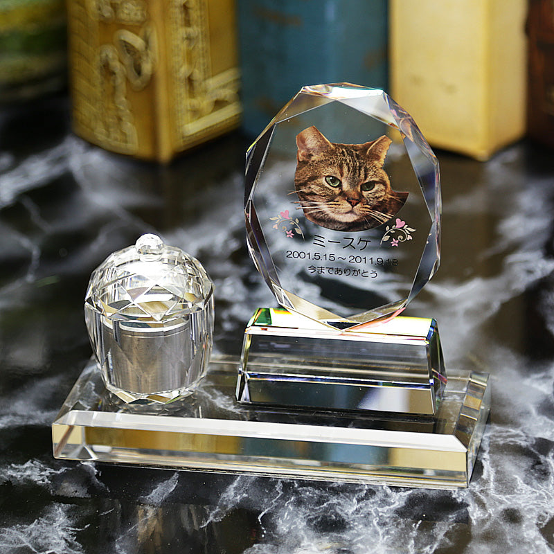 set9_1080x.jpg?v=1623648434